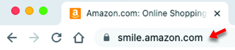 Web Search of Smile.Amazon.com
